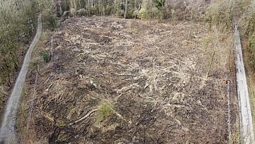 Eine eingezäunte Brache.