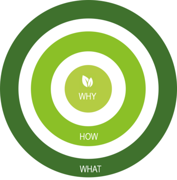 Symbolgrafik zu Leitbild mit grünen Kreisen und den Wörtern Why, How und What