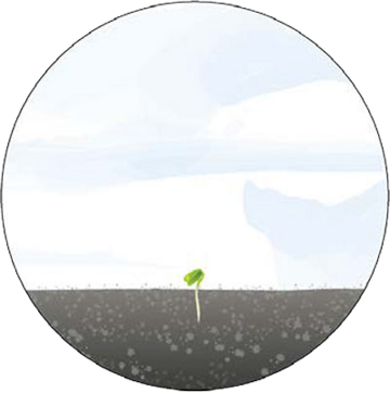 Grafik mit Pflanzenwachstum Stufe 2: Kleiner Keimling