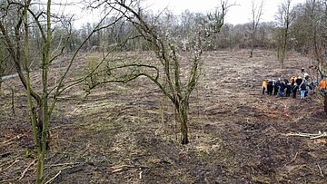 Eine Brache mit wenigen Bäumen, auf der Menschen umhergehen.