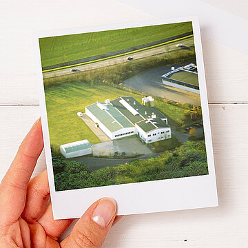 Foto von dem Werk 1990 als Polaroid