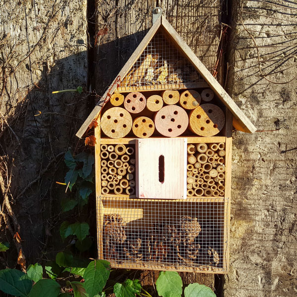 Ein Insektenhotel an einem Holzzaun, an dem einige Blätter wachsen.