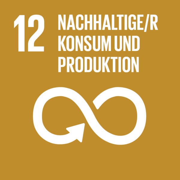 SDGs Nachhaltiger Konsum und Produktion